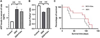 Elevated Serum Uric Acid is Associated With Poor Survival in Advanced HCC Patients and Febuxostat Improves Prognosis in HCC Rats